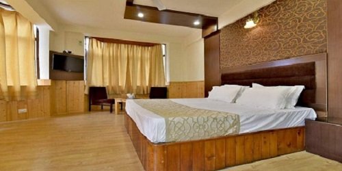 Hotel Ocean manali