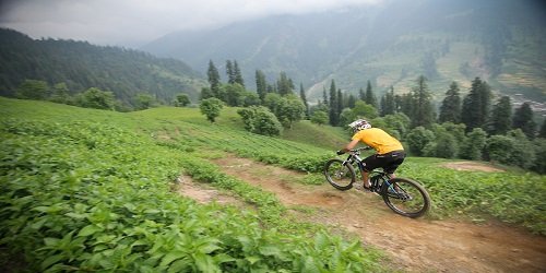 Manali Mountain Bike Expedition